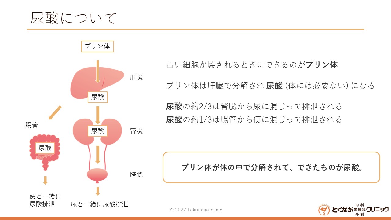 高尿酸血症 - とくなが内科胃腸科外科クリニック | 熊本市 東区 内視鏡